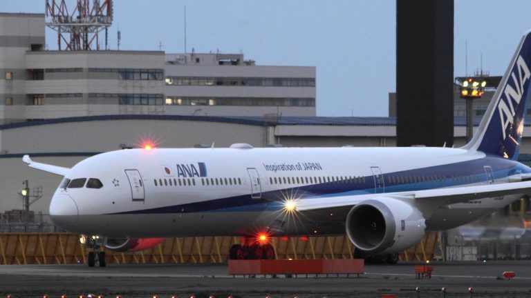 Ana Fleet Boeing Dreamliner Details And Pictures