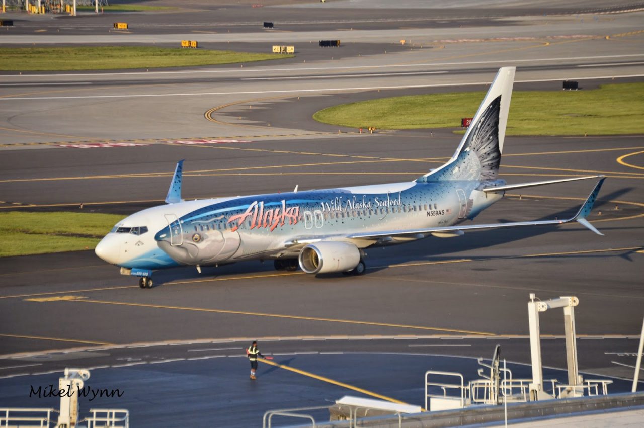 Alaska Airlines Boeing 737-890 (N559AS) in special Salmon Thirty Salmon II livery in partnership with Wild Alaska Seafood pulling up to the gate @Mikel Wynn