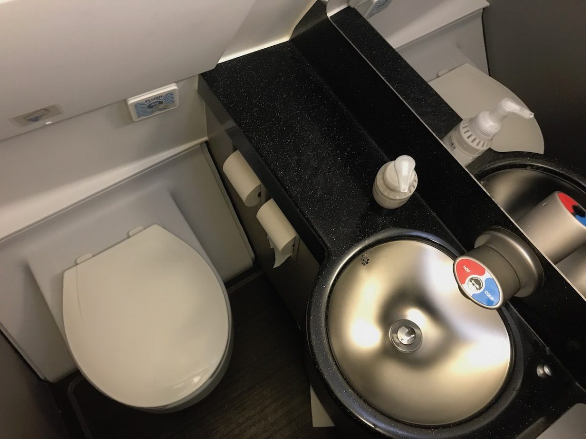 American Airlines Airbus A321 First Class Lavatory