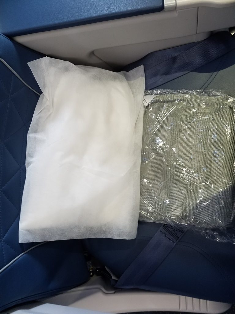 Delta Air Lines Airbus A319-100 First Class Seats With Blanket and pillow