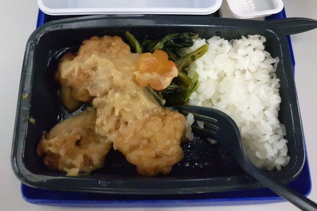 United Airlines Aircraft Fleet Boeing 777 200ER Economy Class Cabin inflight amenities meals Karaage fried chicken in sweet cream sauce menu