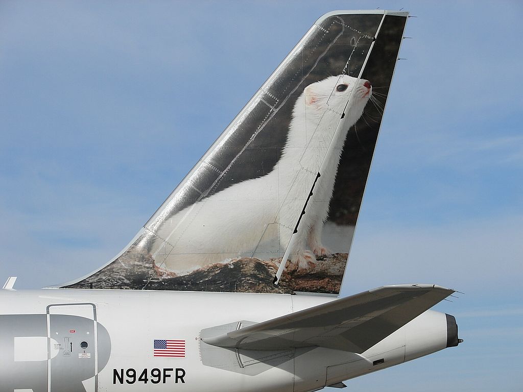 Frontier Airlines Airbus A319 100 N949FR Erma the White Ermine aircraft tail livery color