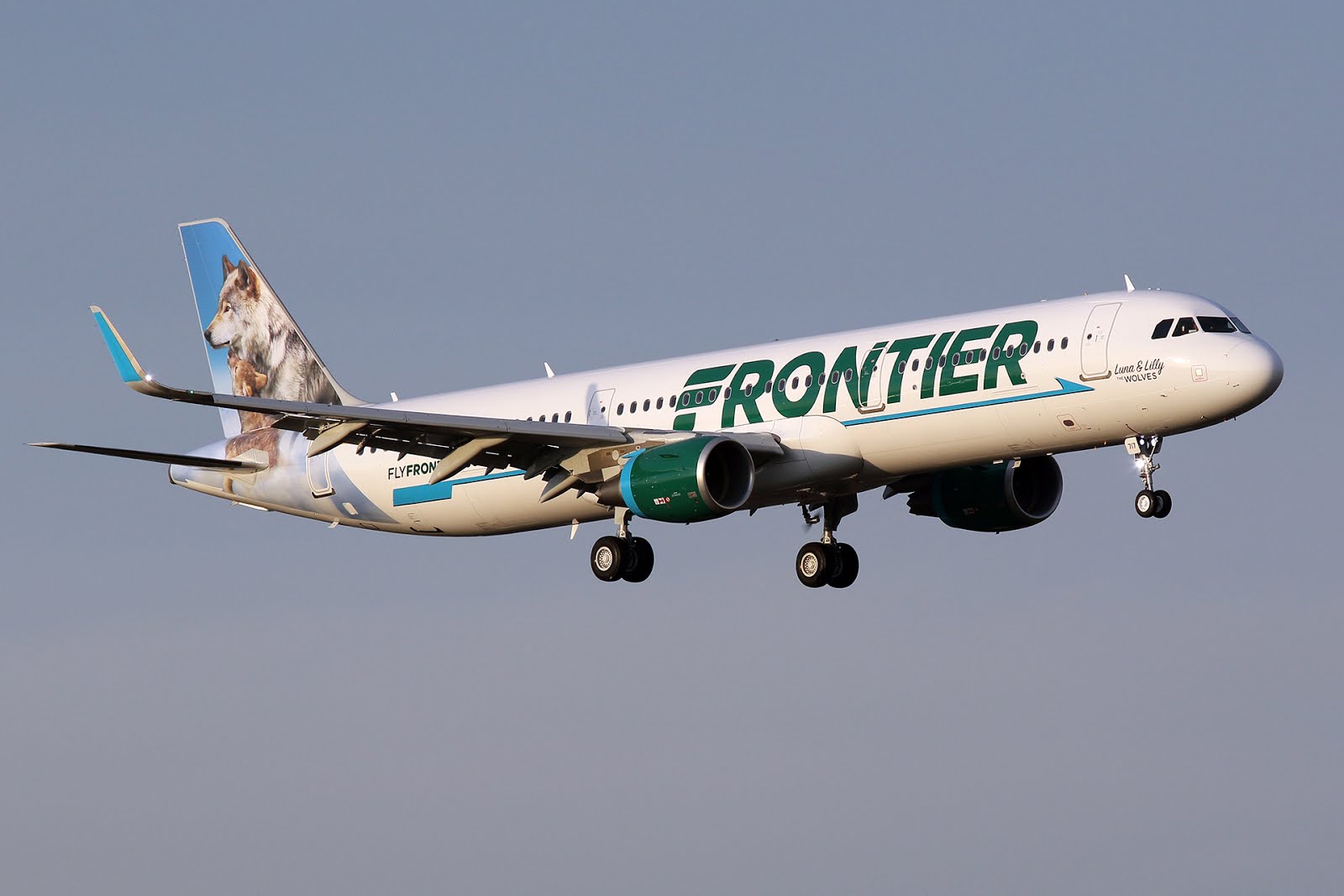Frontier Airlines Aircraft Fleet Airbus A321 211WL cn 7536 N717FR Luna Lilly the Wolves