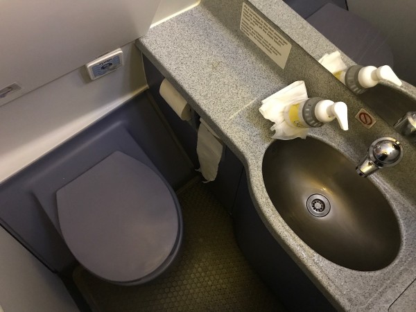 Spirit Airlines Airbus A319 100 onboard cabin lavatory toilet bathroom photos