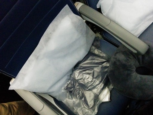 United Airlines Aircraft Fleet Boeing 787 9 Dreamliner Economy Class Cabin seats Pillow and blanket were already placed