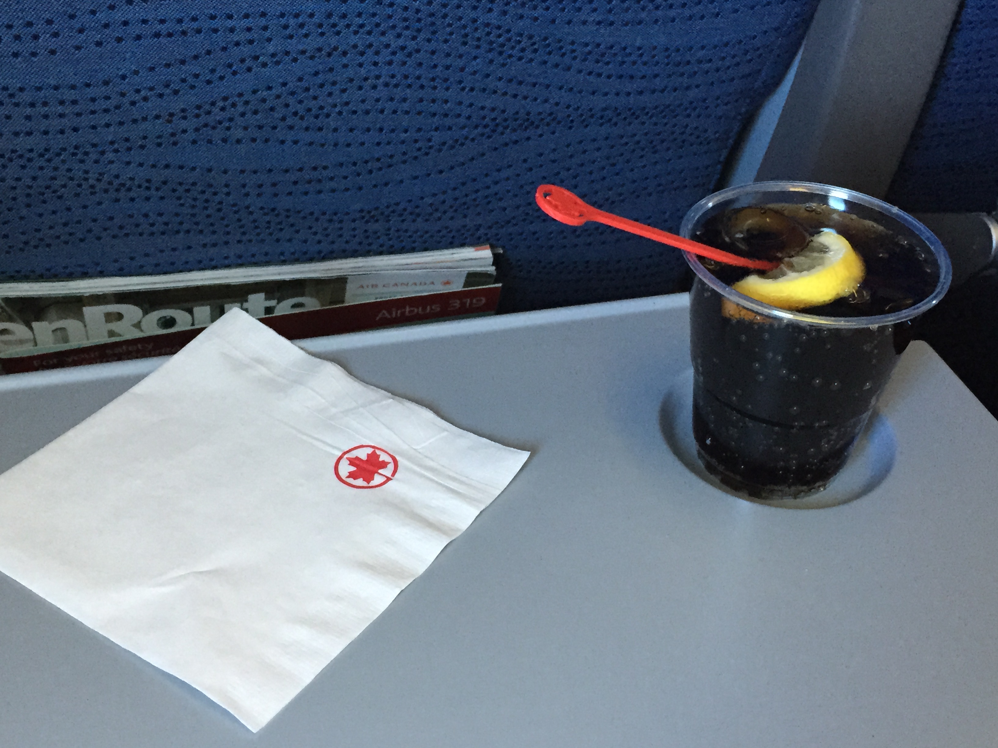 Air Canada Airbus A319 100 Economy Class Inflight Amenities Beverages Services Photos