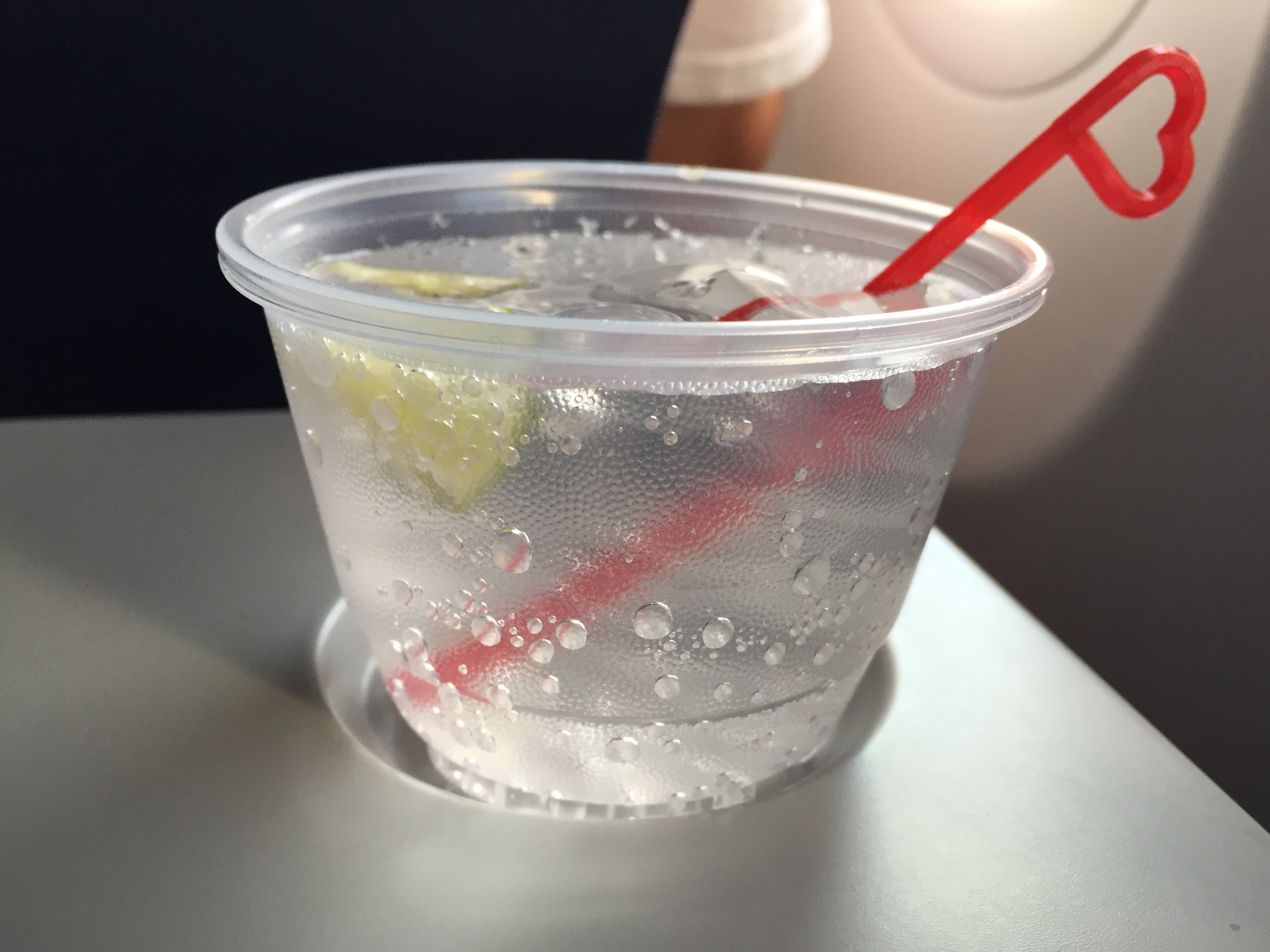 Southwest Airlines Aircraft Boeing 737 800 Economy Cabin Pre Arrival Drinks Services Sparkling Water