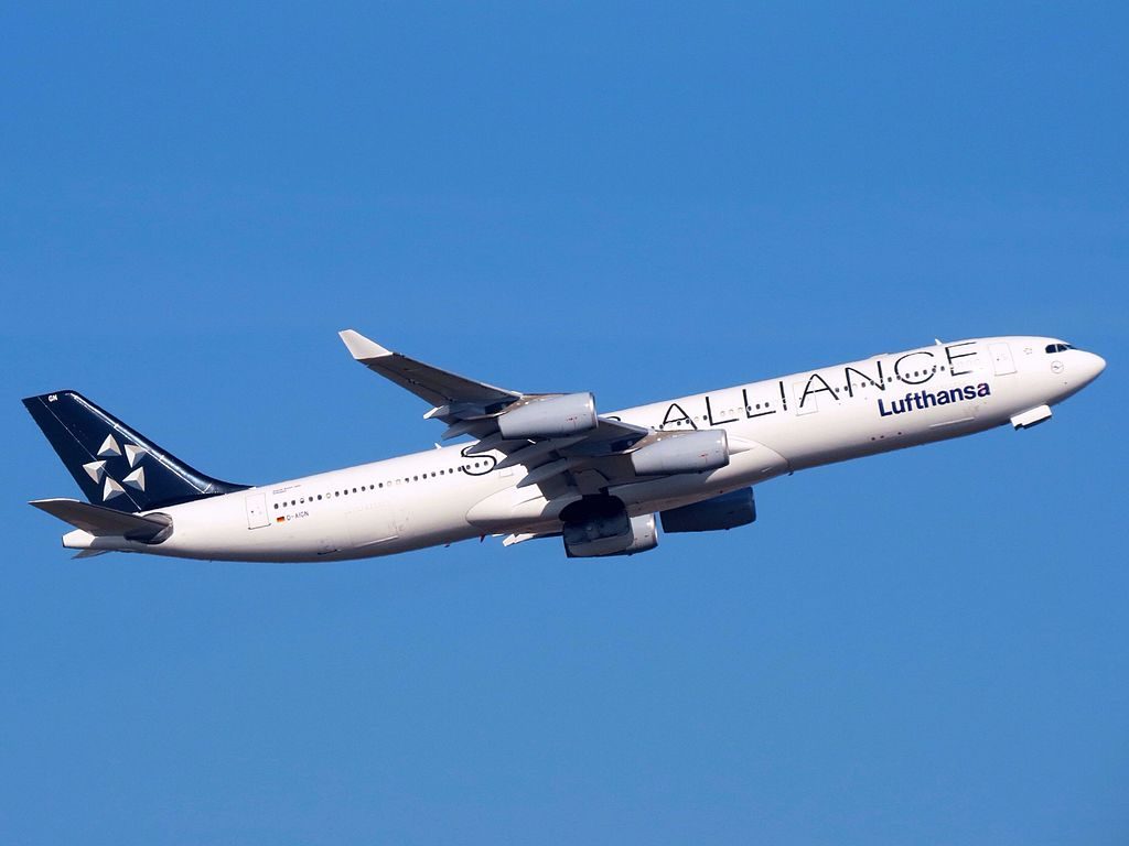 Lufthansa Airbus A340 313 D AIGN Solingen on Star Alliance Livery at Frankfurt Airport
