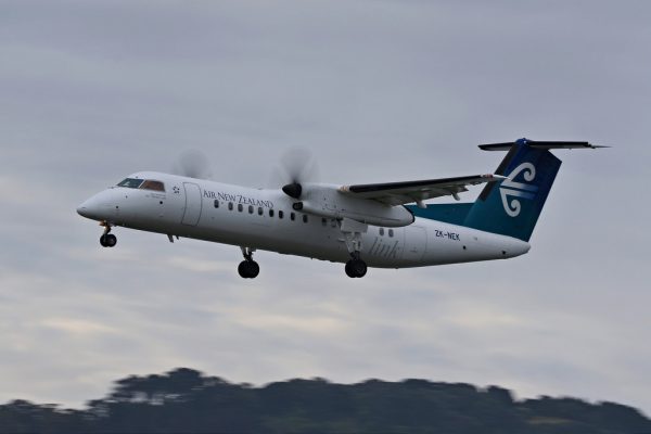 Air New Zealand Link Fleet Bombardier Dash 8 Q300 Details and Pictures