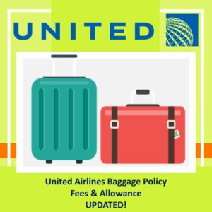 united domestic baggage