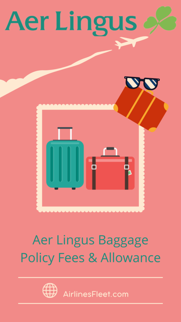 Aer Lingus Baggage Policy Fees Allowance