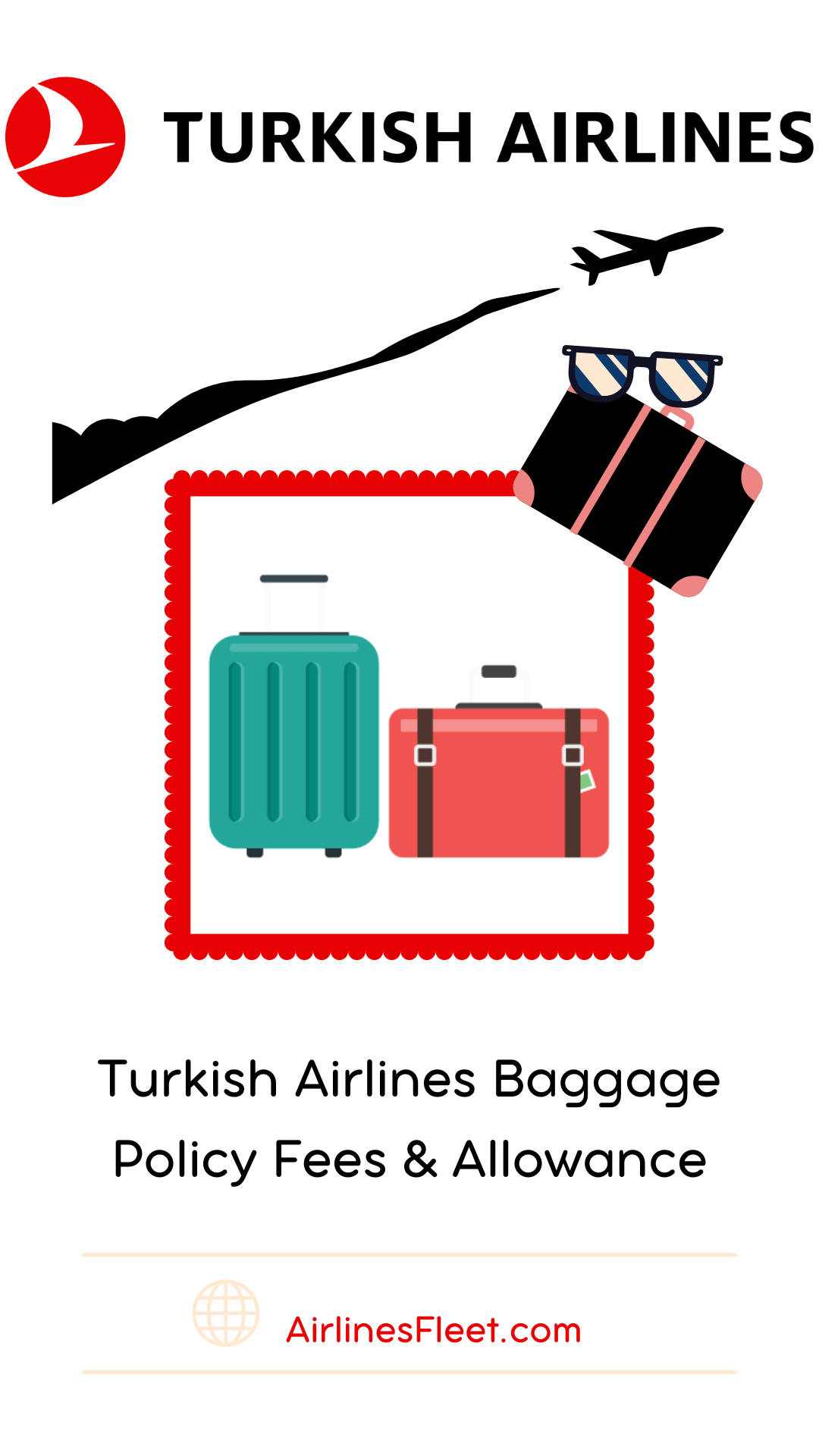 Bonus fluctueren lekken Turkish Airlines Baggage Policy Fees & Allowance